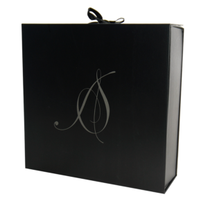 Aesthetic Skin Carrying Case